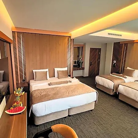 The Park Hotel Istanbul