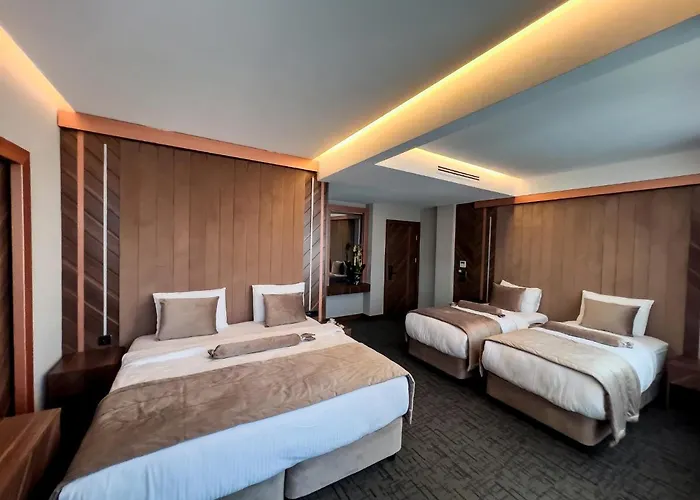 The Park Hotel Istambul